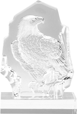 The Distinguished Eagle Award