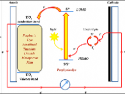 porphyrin